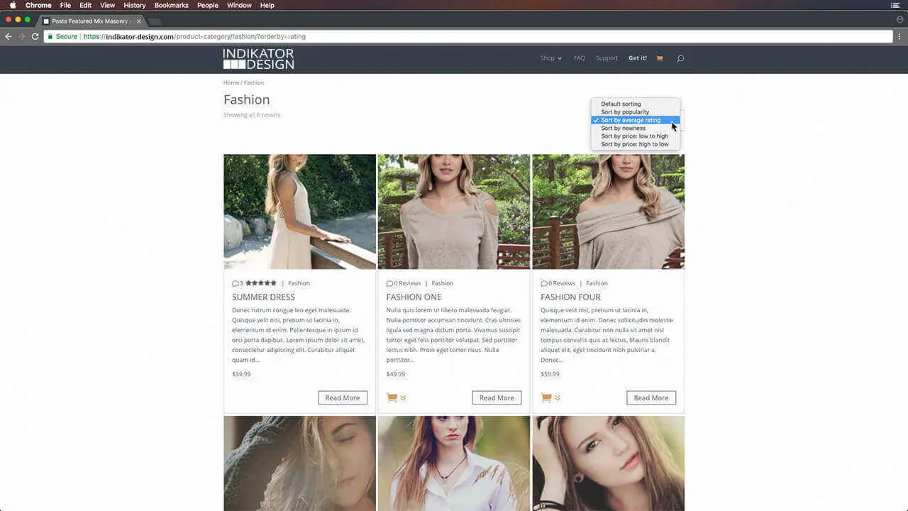 WooCommerce filter with Divi Blog » Indikator Design